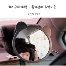 디컴퍼니 | [해외구매대행] '오디디컴퍼니'에서 졸리점퍼 후방거울 구매후기