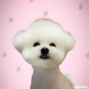 [공지] [고양 이색데이트] 내돈내놀 놀이터실내낚시카페 화정역점 솔직후기