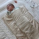 꿈의약국 | 엄마품에 안긴 원리로 모로반사없이 꿀잠 재워주는 머미쿨쿨 올인원 좁쌀이불