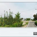 문곡보건진료소 이미지