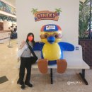 (주)화진관광여행사 | 초등 아이와 12월 괌 PIC 가족여행 현실 후기 :: 선택관광 제습기 벌충제 조식 팁