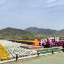 꽃물공원 이미지