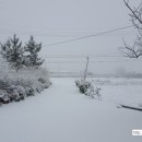 이천농원 이미지