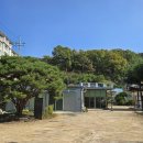 심광사 목조석가모니불좌상 | [대전시 천동 심광사] 창건보다 300년 앞선 불상