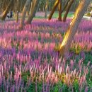 해찬솔길 이미지