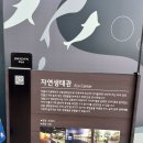 사계절 민물 | [아이와 가볼만한곳] 화담숲 생태관 방문기, 민물고기부터 곤충까지 알찬 관람 팁