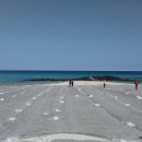 바다올레 이미지