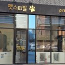 펫스티발 이미지