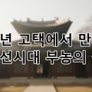 함라장등경로당 | 시간이 멈춘 마을, 익산 함라: 수백 년 고택에서 만나는 조선시대 부농의 찬란한 유산
