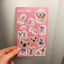 호두스토리