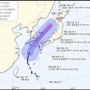 태풍이네 이미지