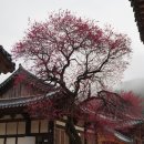 사성암 관광안내소 이미지