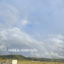 미래꽃유실수