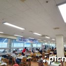 율포회센타