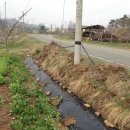 조양농원 이미지