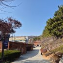 노*헌 | 부산 남천동 카페 모모스커피 도모헌점 내돈내산 후기 | 쿨타임 카페오레