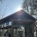 춘천식당 | [춘천] 남이섬 내부 식당 추천, 내돈내산 후기!