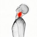 올림픽한방병원 이미지