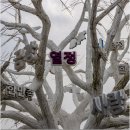 보람동_금강보행교 남측(좌) | 대전 근교 주말여행 추천 세종 가볼 만한 곳 이응 다리 금강 보행교 주말 가볼 만한 곳 여행