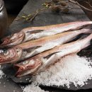 동해-단속-12 이미지