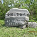 대관령전망대 이미지