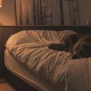 팔레드차밍리조트 이미지