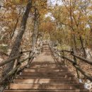 파크사이드관광호텔 이미지