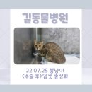 봉 동물병원 이미지