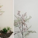 자동차 디테일링샵인테리어ㅣ 휴게실, 라운지 인테리어도 꼼꼼하게