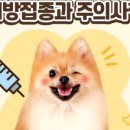 키다리아저씨 동물병원 이미지