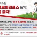 클로르 이미지