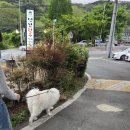 명산한우식육식당 이미지