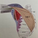 샌드피티 이미지