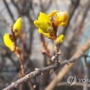 개나리아파트 놀이터 이미지