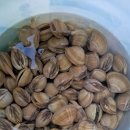 안면도글램핑 이미지