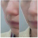 피오르의원 이미지