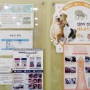 상모동물병원 이미지