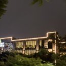 숲속으로 | 숲속으로 떠나는 도심 속 힐링 포레스트아웃팅스 송도점 방문 후기