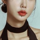 해이담헤어