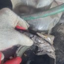 모섬 | 오늘은 안성공도 모섬 식당 하수구 고압세척 다녀 왔습니다 평택하수구 잘하는 업체에요!