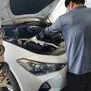 수 카센타 이미지