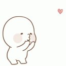 세이브카 이미지