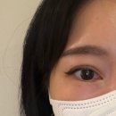 선릉속눈썹펌 추천 "그린룸" 프리미엄 블랙펌 후기