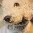 강호농장 이미지