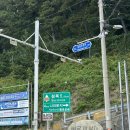 나리 야영장 옆 | [울릉도/내돈내산] 내 기준 울릉도 1등 맛집 나리분지 야영장식당 솔직 후기