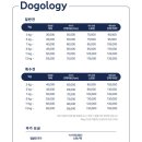 텐즈힐 애견미용 | 왕십리 애견미용 도그올로지, 웰시코기 맞춤 목욕&amp;스파 후기(+위생미용)