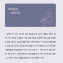 비앤드디자인 이미지