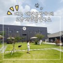 컴포즈커피대구도남점 | 대구 애견동반카페 도남개생활연구소, 시바견 두 마리와 다녀온 솔직 후기