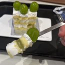 콩닥콩닭 | [일상] 초밥/치킨 한끼에 둘 다 먹은 먹짱★ 나 안아.. 인형뽑기 듀 가나디 고냐니 기엽따;;