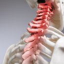 더진심한의원 이미지